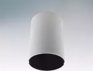 Точечный светильник Lightstar 214410