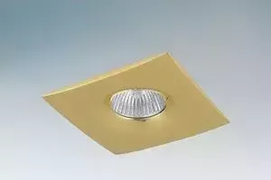 Точечный светильник Lightstar 010032