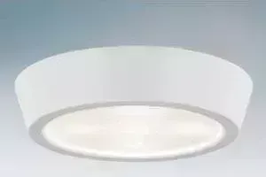 Потолочный светодиодный светильник Lightstar 214904
