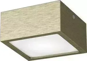 Потолочный светодиодный светильник Lightstar 213921