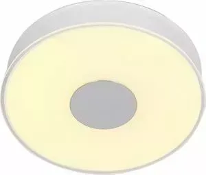 Потолочный светодиодный светильник ST-Luce SL473.052.01