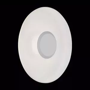 Уличный настенный светильник ST-Luce SL925.501.01