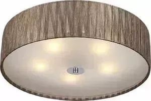 Потолочный светильник ST-Luce SL357.702.05