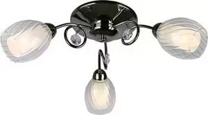 Потолочная люстра Omnilux OML-31607-03
