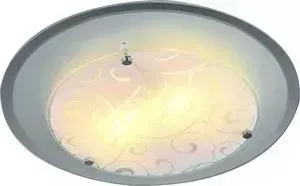 Потолочный светильник ARTELAMP A4806PL-2CC