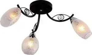 Потолочная люстра Silver Light Anjou 236.59.3