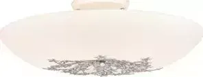 Потолочный светильник Silver Light Verbena 836.50.5