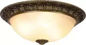Потолочный светильник Donolux C110156/3-40