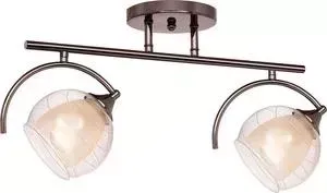 Потолочная люстра Silver Light Sfera 255.59.2
