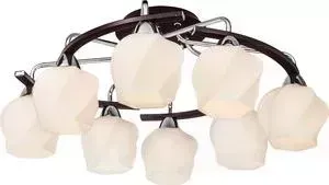 Потолочная люстра Silver Light Aranda 228.59.8