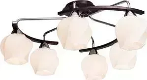 Потолочная люстра Silver Light Aranda 228.59.6