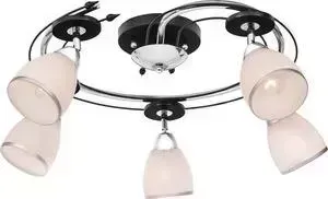 Потолочная люстра Silver Light Austerity 223.59.5