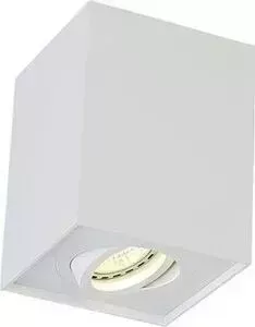 Потолочный светильник Crystal Lux CLT 420C WH
