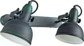 Спот ARTELAMP A5213AP-2BG