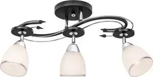 Потолочная люстра Silver Light Austerity 245.59.3