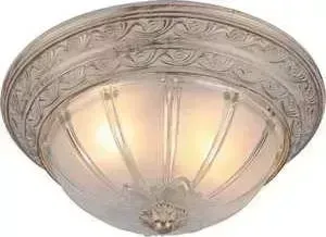 Потолочный светильник ARTELAMP A8014PL-2WA