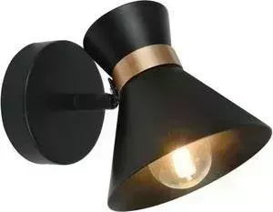 Спот ARTELAMP A1406AP-1BK