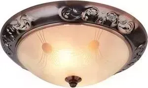 Потолочный светильник ARTELAMP A3014PL-2AC