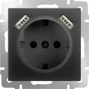 Розетка с заземлением, шторками и USBx2 Werkel черный матовый WL08-SKGS-USBx2-IP20