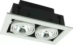 Светильник ARTELAMP Точечный поворотный A5930PL-2WH