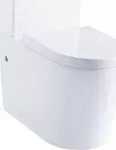 Чаша унитаза Delice Lorraine с сиденьем микролифт (LORRAINE COMPACT 1/2)