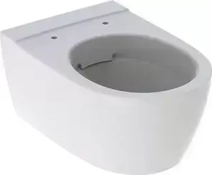Чаша унитаза Geberit iCon безободковый (204060000)