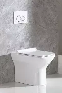 Унитаз приставной BELBANGO Romano (BB248CBR + BB2112SC)