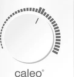 Терморегулятор CALEO C450