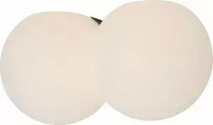 Настенный светильник ST-Luce SL809.501.02