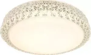 Потолочный светодиодный светильник ARTELAMP A1569PL-1CL