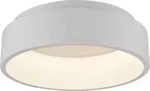 Потолочный светодиодный светильник ARTELAMP A6245PL-1WH