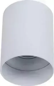 Потолочный светильник Maytoni C014CL-01W