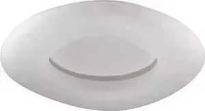 Потолочный светодиодный светильник ODEON 4064/80CL