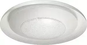 Потолочный светодиодный светильник ODEON 4623/48CL