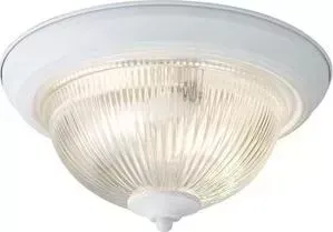 Потолочный светильник ARTELAMP A9370PL-2WH