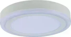 Потолочный светодиодный светильник ARTELAMP A7824PL-2WH