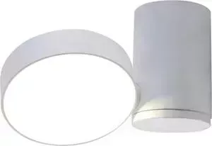 Спот Divinare 1486/03 PL-1