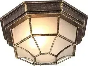 Уличный потолочный светильник ARTELAMP A3121PF-1BN
