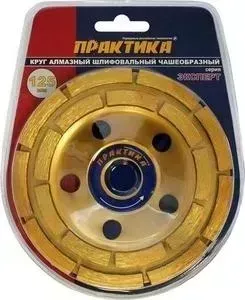 Чашка алмазная шлифовальная ПРАКТИКА 2 - ряда 125х22 мм (030 - 948)