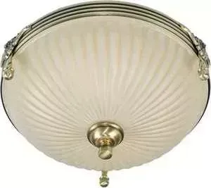 Потолочный светильник MW-LIGHT 317011202