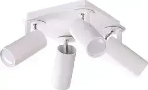 Спот ODEON 3873/4C