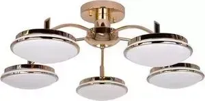 Потолочная светодиодная люстра F-Promo 2473-5P