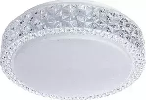 Потолочный светодиодный светильник ARTELAMP A1568PL-1CL