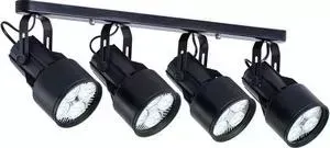 Спот ARTELAMP A6252PL-4BK