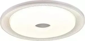 Потолочный светодиодный светильник F-Promo 2463-6C