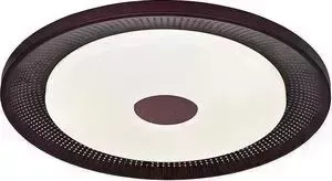 Потолочный светодиодный светильник F-Promo 2536-6C