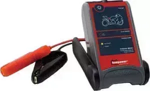 Зарядное устройство Inelco Keepower Micro 0.8A 12В