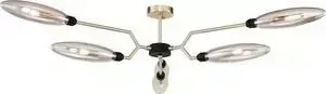 Потолочная люстра Maytoni MOD012CL-06G