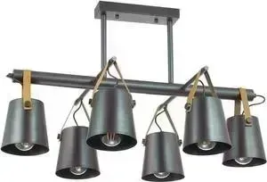 Потолочная люстра Lumion 3641/6C