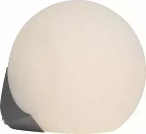 Настенный светильник ST-Luce SL809.501.01